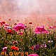 http://jeju.zigum.seoul.kr/data/editor/2508/thumb-3bb9c44514fd9a06f9e272613f3b30a5_1753976724_2376_80x80.jpg